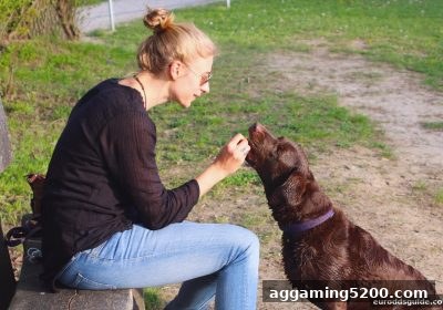 欧赔视角下的美高梅充值红包全指南：资格、操作与实战建议