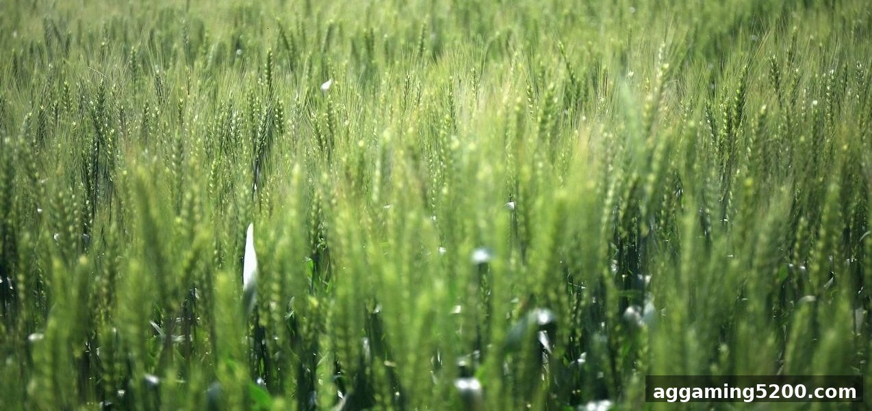 欧赔深度解析：新手注册奖励的提款规则与手续费避坑指南