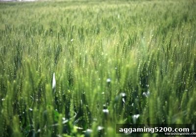 欧赔深度解析：新手注册奖励的提款规则与手续费避坑指南